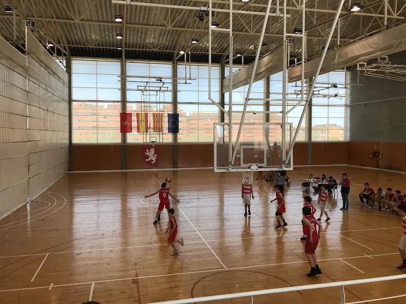 Centro Deportivo Municipal Alberto Maestro - Centro deportivo en Zaragoza - foto 2