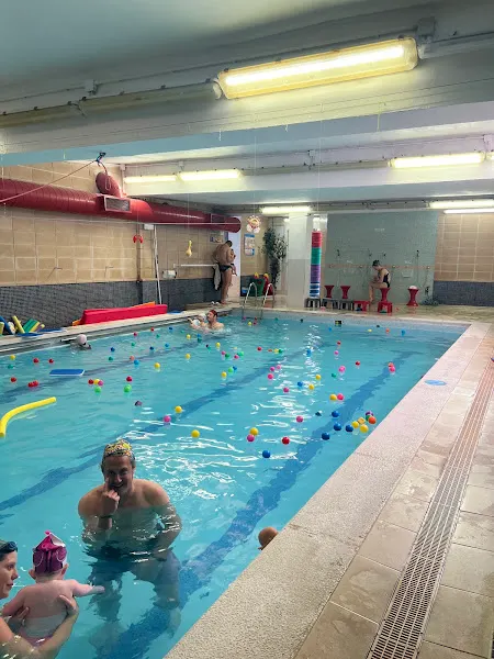 Escuela de Natación Pedro Franco - Escuela de natación en Zaragoza - foto 2