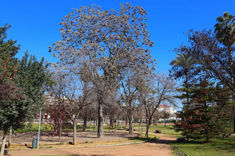 Piscina limaria romana - Córdoba
