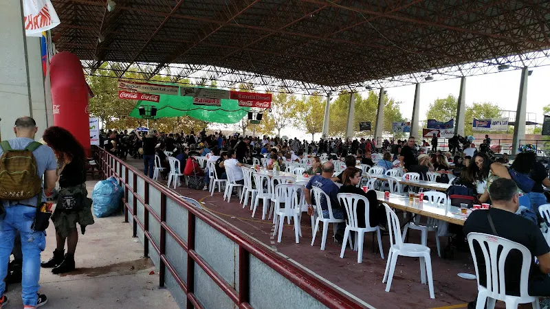 Polideportivo El Toscar - Elche