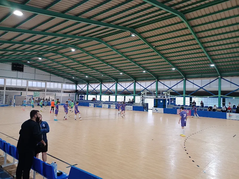 Polideportivo Carrús - Elche