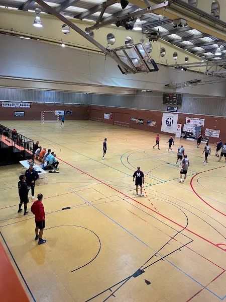 Polideportivo Los Rosales