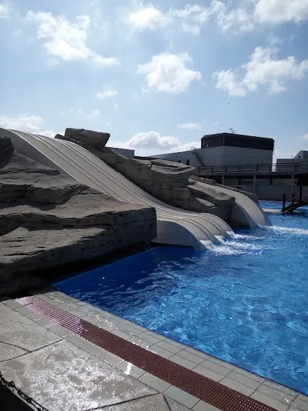 Piscinas Larrabide