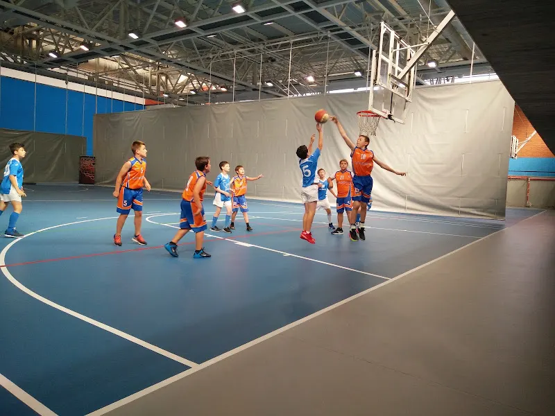 Polideportivo Municipal Paco Yoldi