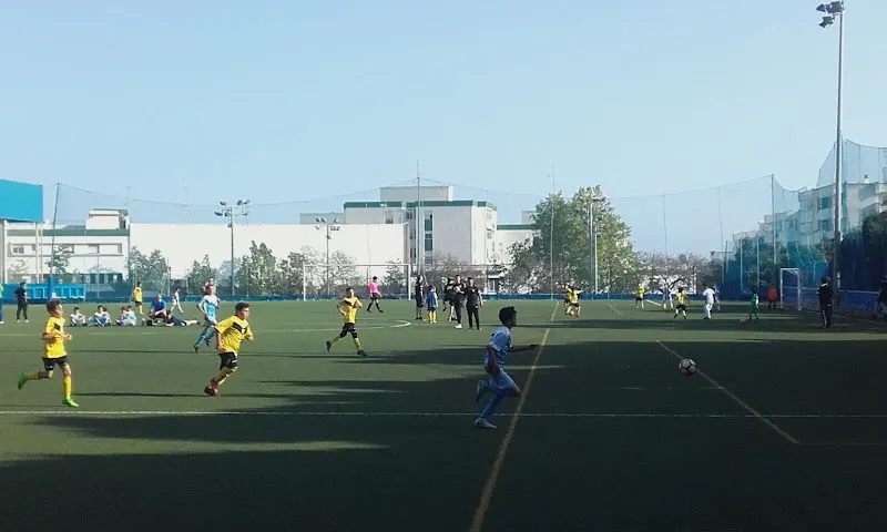 Pabellon Antonio Serrano Lima - Polideportivo en Marbella - foto 2