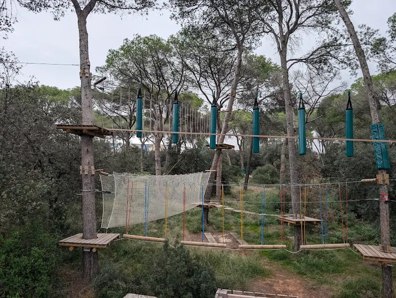 Diverbosc - Cerdanyola del Vallès