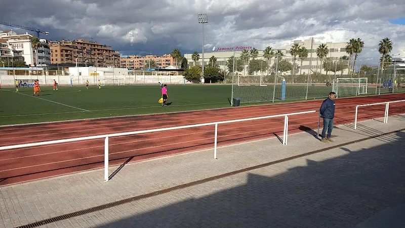 Polideportivo UA - Polideportivo en Alicante/Alacant