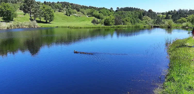 Haztegi Aintzira /lago vivero - Lago para natación en Galdakao - foto 2