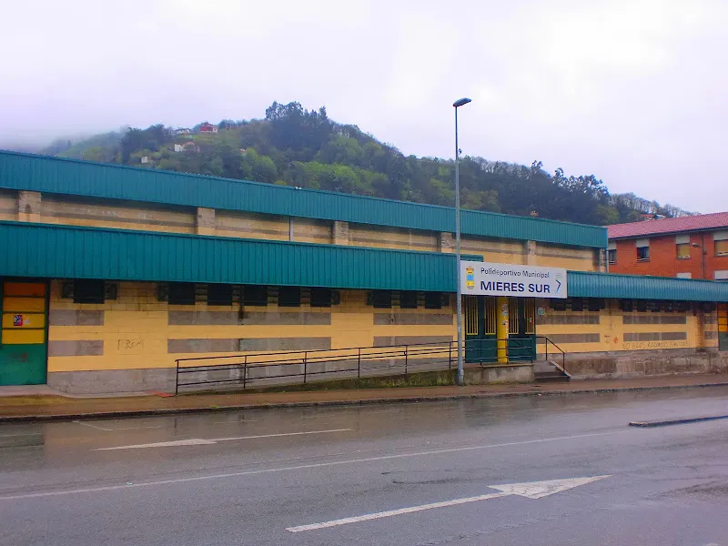 Polideportivo Municipal Mieres Sur - Mieres