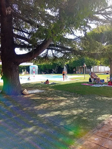 Piscina Pública Municipal de Olite. - Olite