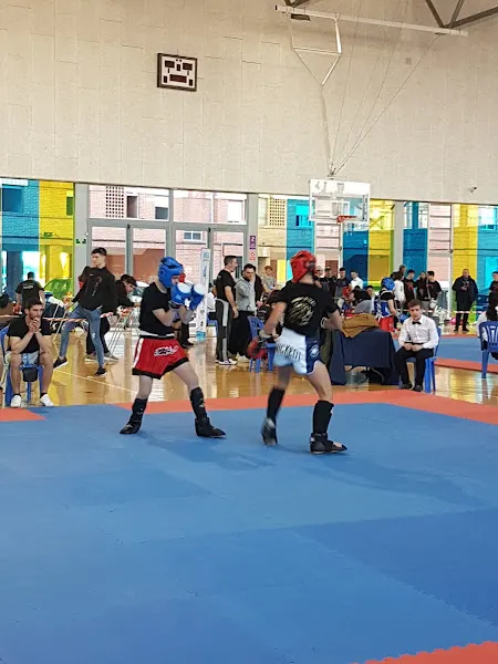 Polideportivo Municipal La Bosca - Burriana