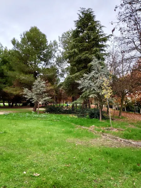 Piscina del Club Social Mirador del Henares