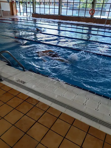 Piscinas Municipales Anglès - Piscina cubierta en Angles - foto 2