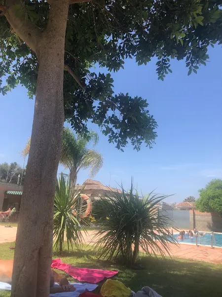 Piscina Municipal Daya Nueva - Daya Nueva