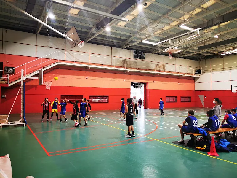 Polideportivo Municipal de Puçol - Polideportivo en Pucol - foto 2