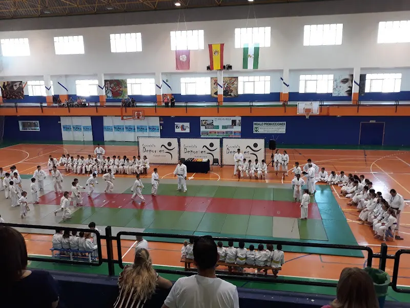 Pabellón polideportivo municipal - Polideportivo en Huercal-Overa - foto 3