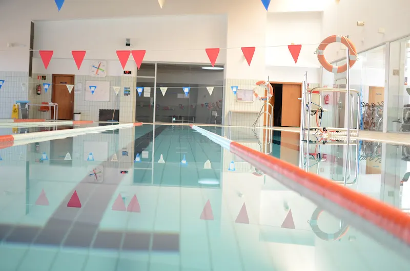 Centro Deportivo Municipal (Piscina cubierta y gimnasio) - La Carolina