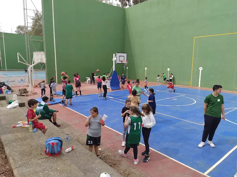 Polideportivo Público Massamagrell - Polideportivo en Massamagrell - foto 2