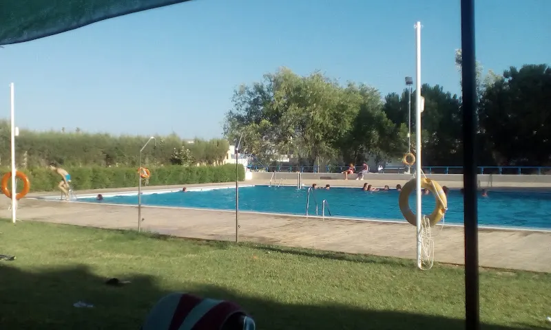 Piscina Municipal De Albaida Del Aljarafe - Piscina pública en Albaida del Aljarafe - foto 2