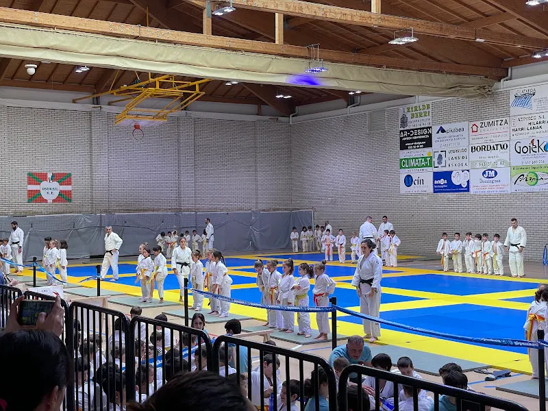 Oiardo Kiroldegia - Polideportivo en Usurbil - foto 2