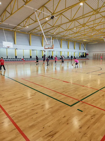 Polideportivo Municipal de Lloseta - Polideportivo en Lloseta - foto 2