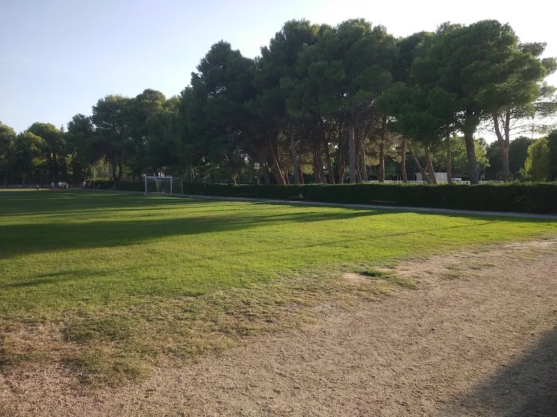 Complejo Deportivo Alto de La Muela - Polideportivo en Muela (La) - foto 2