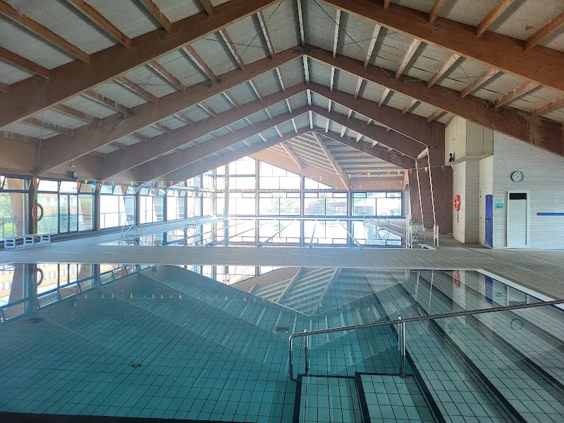 Piscinas Municipales Olvega - Piscina pública en Olvega - foto 2