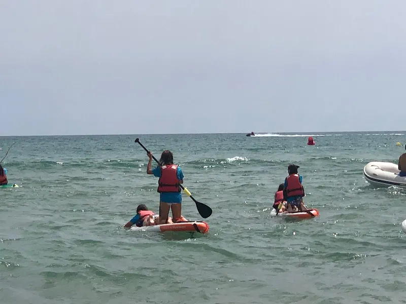 OHANA WINDSPORTS - Servicio de alquiler de equipos para deportes acuáticos en Daimus - foto 2