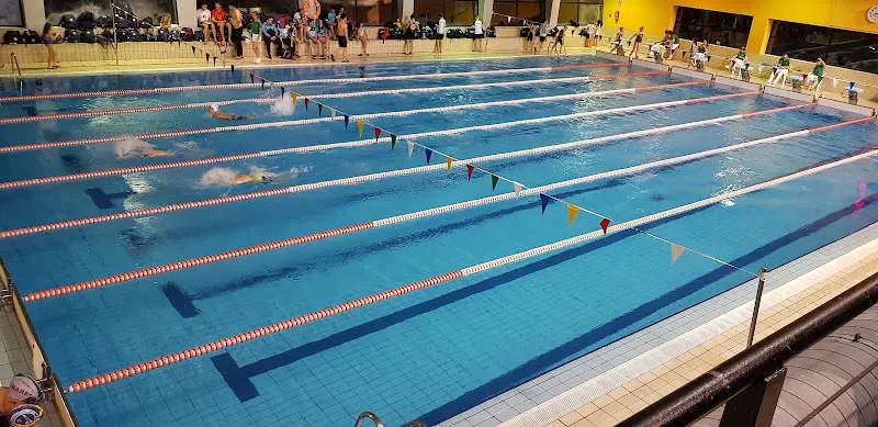 Club Natación Jaén - Club de natación en Jaén - foto 3