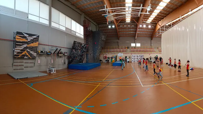 Pabellón Polideportivo Municipal de Alfajarín. - Alfajarin
