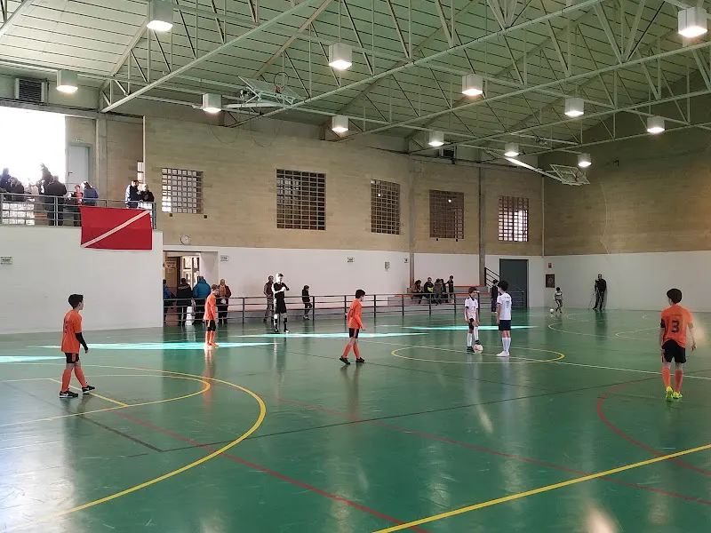 Polideportivo Municipal - Polideportivo en Pamplona - foto 2