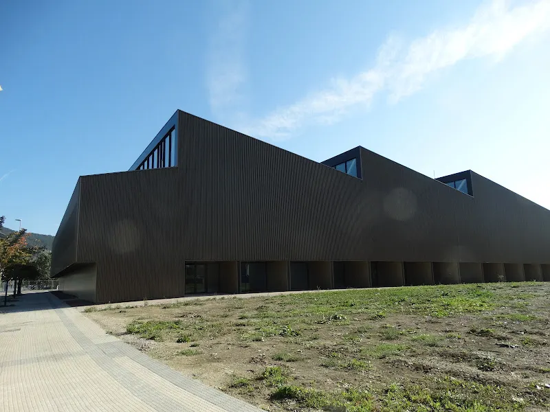 Polideportivo Buztintxuri kiroldegia - Polideportivo en Pamplona - foto 2