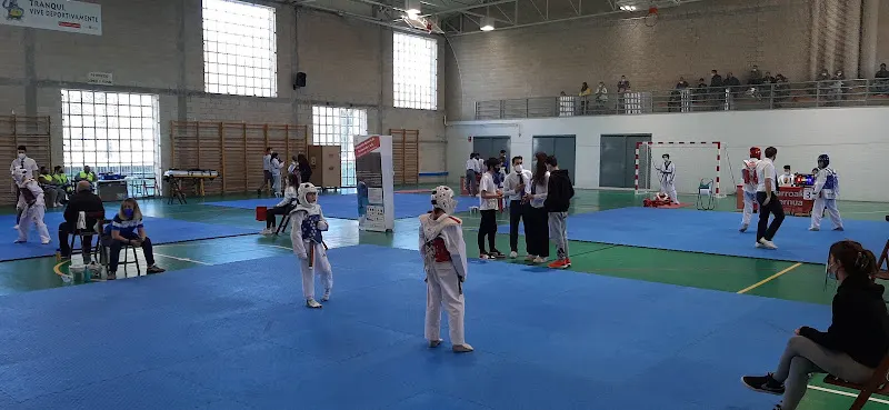 Orvina - Polideportivo en Pamplona - foto 2