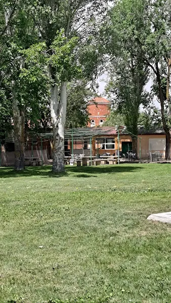 Piscinas municipales - Alaejos
