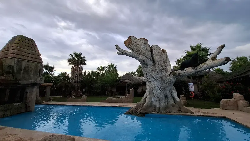 Piscinas Puigventós - Parque en Vidreres - foto 2