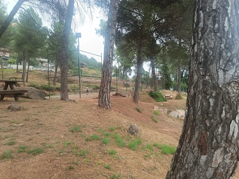 Piscina Municipal de Fonollosa a Canet de Fals
