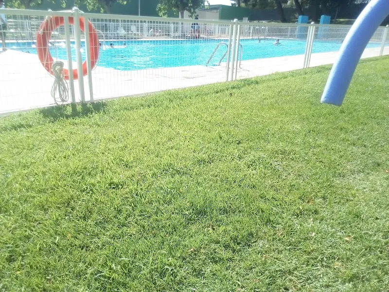 Piscina Pública Municipal de La Estación. - La Puebla de Hijar