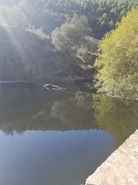Piscina Natural - Ladrillar