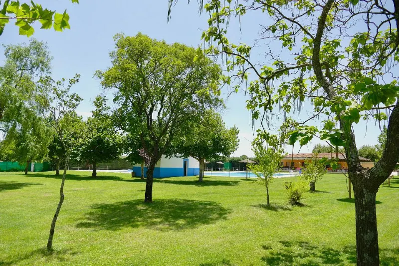 Piscina Municipal de Guijo de Granadilla - Guijo de Granadilla