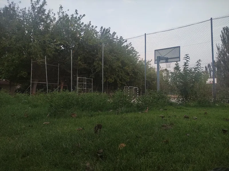 Piscina Pública Municipal de Osera de Ebro. - Osera de Ebro