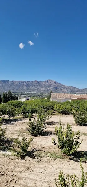 Piscina Municipal Benimarfull - Benimarfull