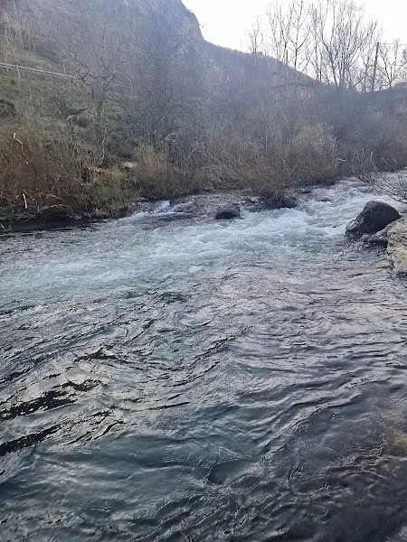 Caldas de Getino - Carmenes