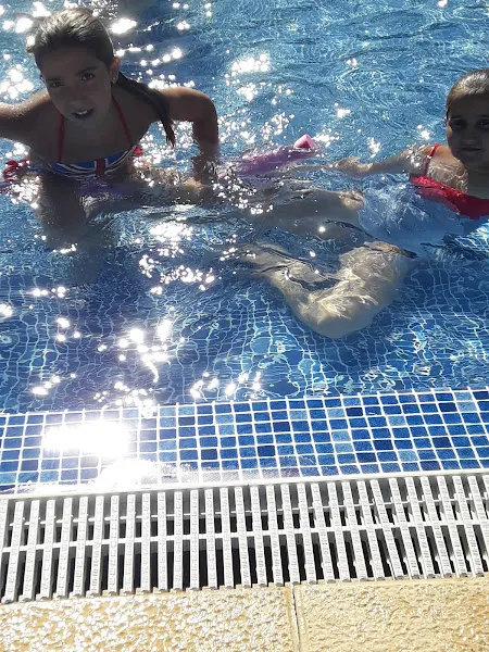 Piscinas municipales - Piscina pública en Langa del Castillo - foto 2
