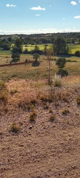 Arauzo de Miel - Arauzo de Miel