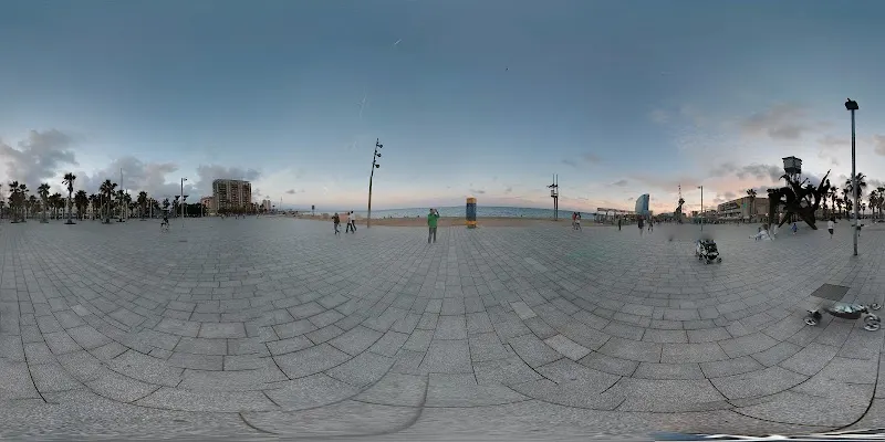 Club Natació Atlètic-Barceloneta - Barcelona