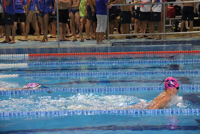 Piscina Municipal de Trafalgar-Real Club Natación Delfín - València